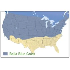 Bella™ Bluegrass Grass Plugs -Plant Seed Store bella blue grass map