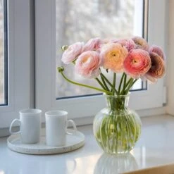 Pastel Ranunculus Mix -Plant Seed Store pastel ranunculus mix pastel persian buttercup mix window still vase
